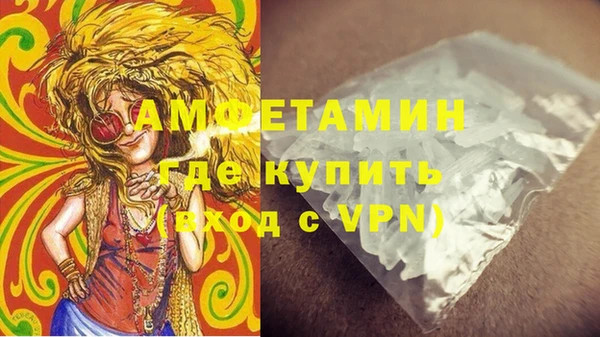 индика Белокуриха