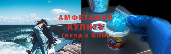 индика Белокуриха