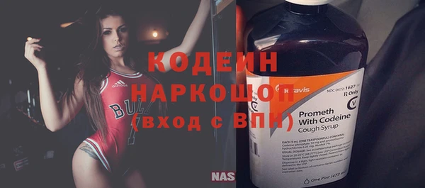 индика Белокуриха