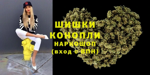 индика Белокуриха