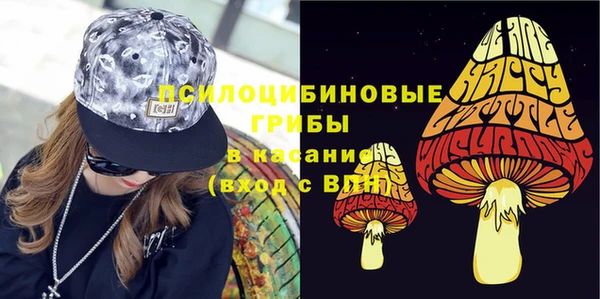 индика Белокуриха