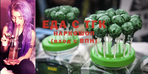 индика Белокуриха